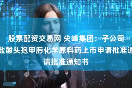 股票配资交易网 尖峰集团：子公司获得盐酸头孢甲肟化学原料药上市申请批准通知书