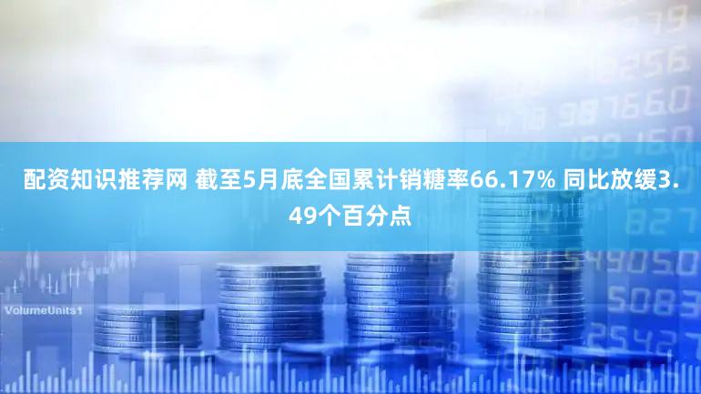配资知识推荐网 截至5月底全国累计销糖率66.17% 同比放缓3.49个百分点