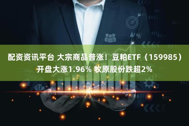 配资资讯平台 大宗商品普涨！豆粕ETF（159985）开盘大涨1.96% 牧原股份跌超2%