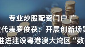 专业炒股配资门户 广东省人大代表罗俊茯:开展创新场景试点 推进建设粤港澳大湾区“数据特区”丨南财对话·广东两会