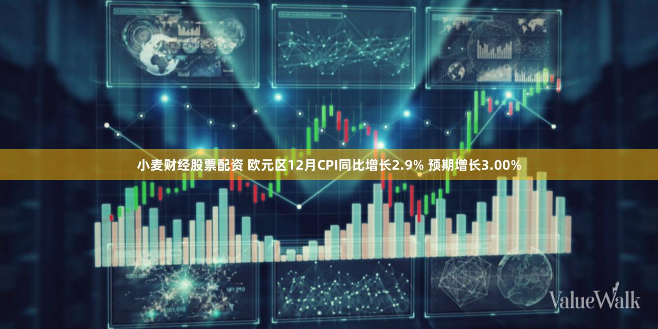小麦财经股票配资 欧元区12月CPI同比增长2.9% 预期增长3.00%