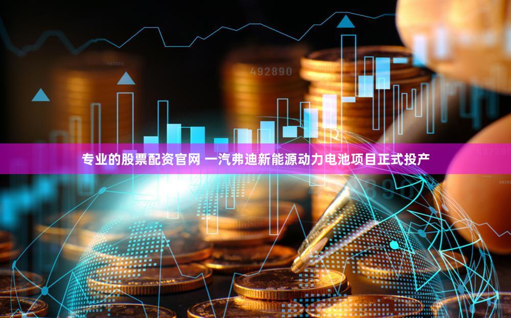 专业的股票配资官网 一汽弗迪新能源动力电池项目正式投产