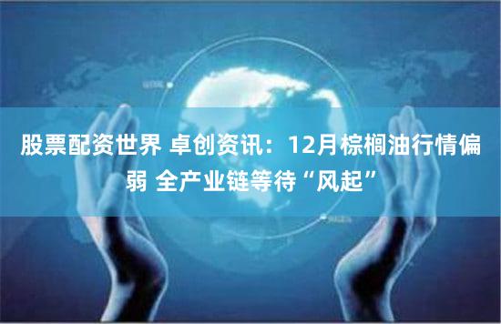 股票配资世界 卓创资讯:12月棕榈油行情偏弱 全产业链等待“风起”